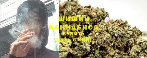 2c-b Горнозаводск