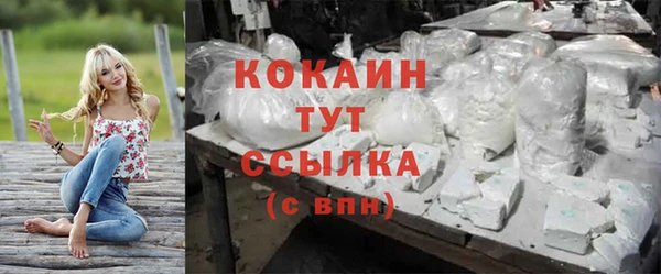 2c-b Горнозаводск