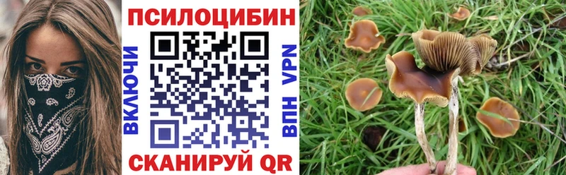 Галлюциногенные грибы ЛСД  Купить  Кувшиново 