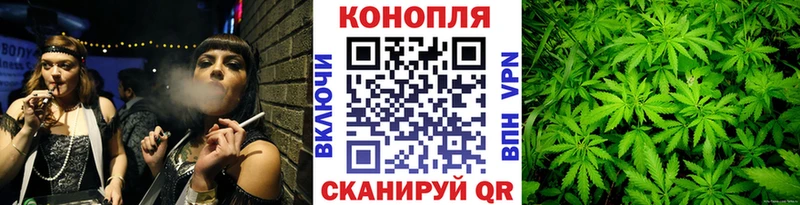 Каннабис планчик  Купить закладки  Кувшиново 